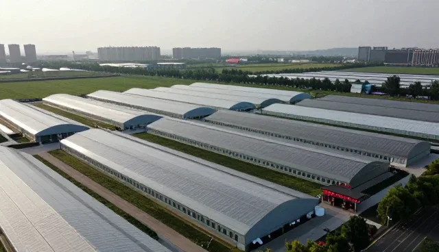 农产品收购中地区差异对技术应用的影响分析
