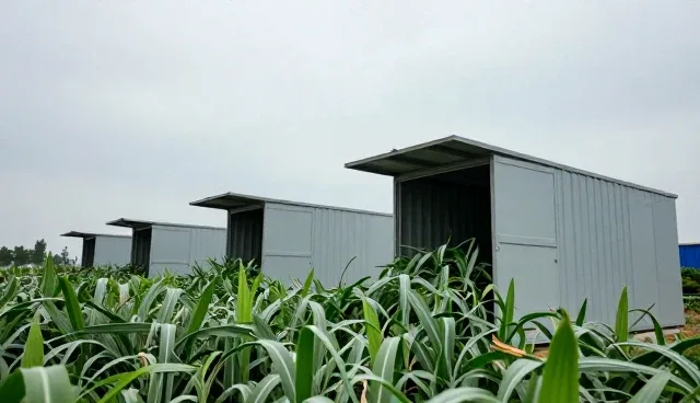 冷链建设如何推动农产品销售的转型升级